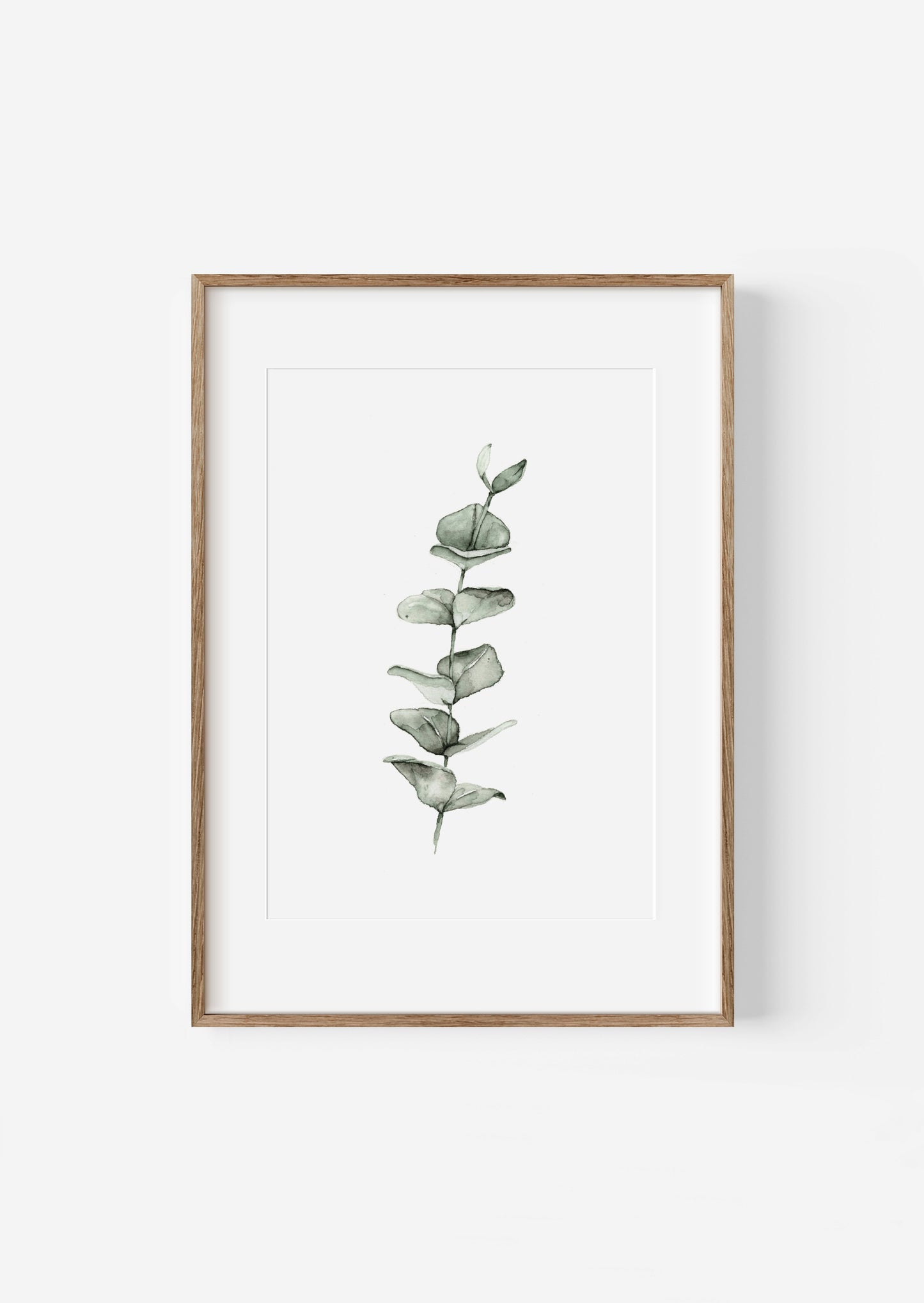 Kunstdruck | Eukalyptus