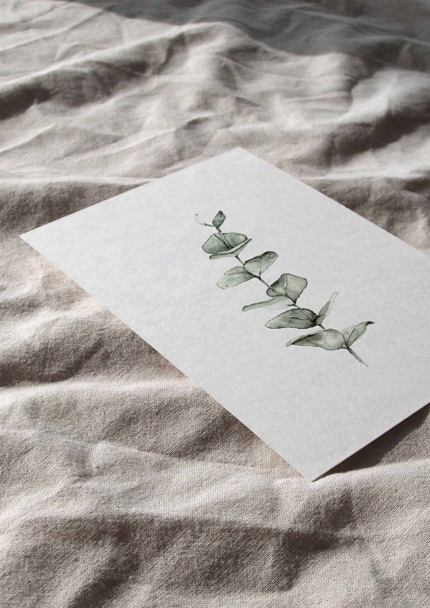 Karte | Eucalyptus