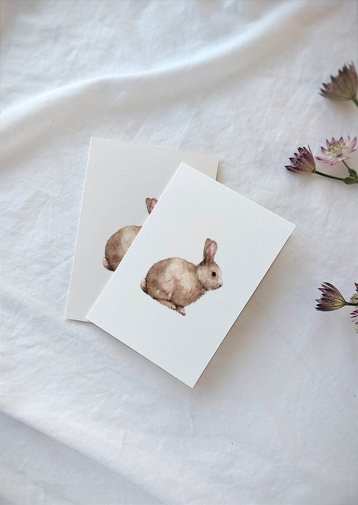 Minikarte A7 | Kaninchen