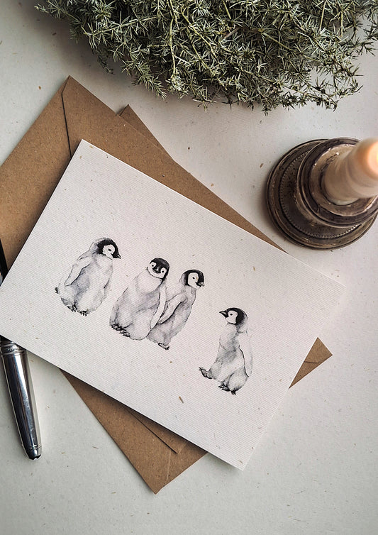 Karte | Pinguine