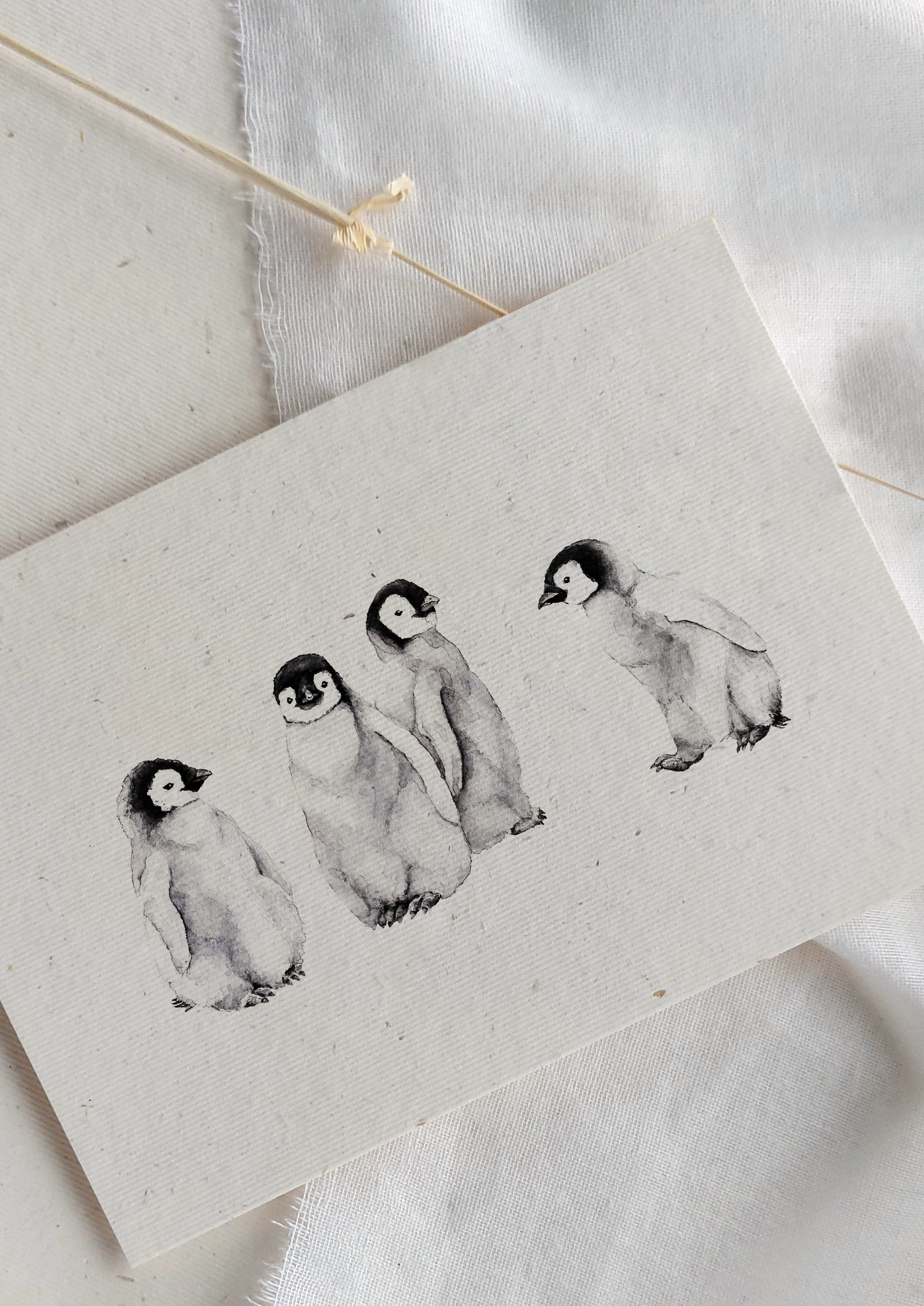 Karte | Pinguine